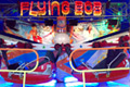 Flying Bob, Arjaans - Foto door: Mart Jansen