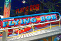 Flying Bob, Arjaans - Foto door: Mart Jansen